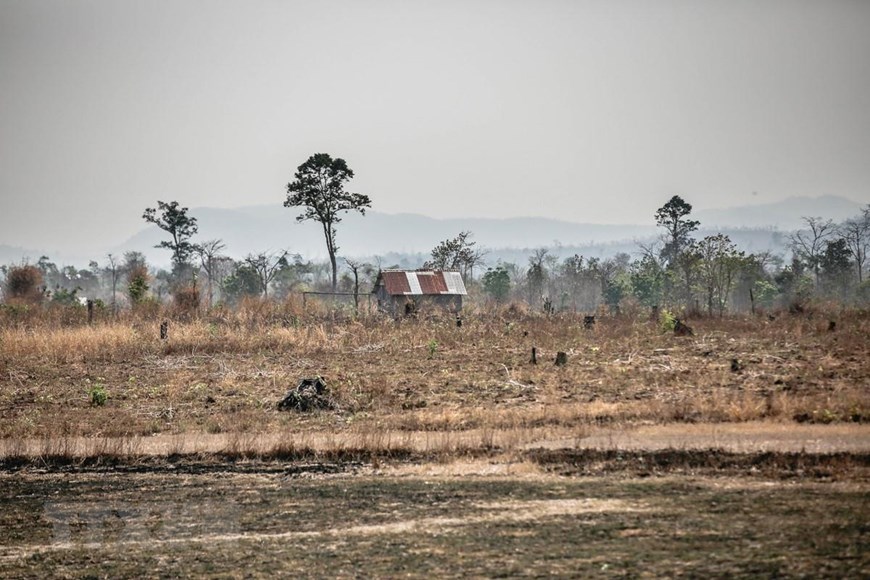 Đắk Lắk có 4.630 ha cây trồng bị thiếu nước tưới