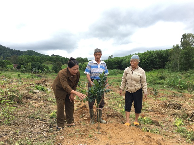 Hội Cựu thanh niên xung phong xã Cư Mta, huyện M'Đrắk: Đẩy mạnh hoạt động nghĩa tình đồng đội