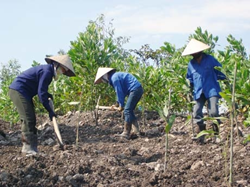 Đối tượng khai thác khoáng sản phải lập phương án cải thiện môi trường