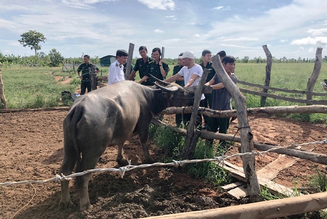 Bộ đội Biên phòng tỉnh Đắk Lắk tập huấn phòng chống dịch tả lợn Châu Phi