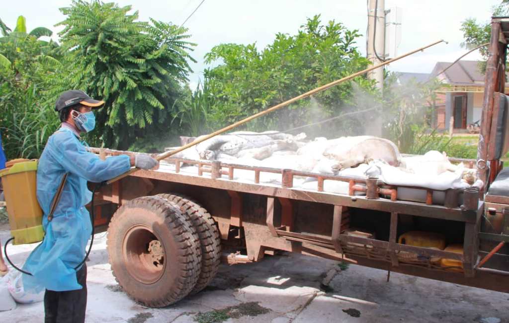Công bố Dịch tả lợn châu Phi trên địa bàn huyện Ea Súp