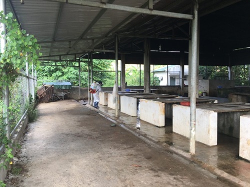 Huyện M'Đrắk tình hình bệnh dịch có chiều hướng gia tăng