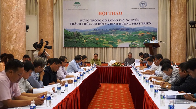 Hội thảo rừng trồng gỗ lớn ở Tây Nguyên:Thách thức, cơ hội và định hướng phát triển