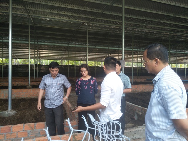 Chàng trai 9x với  đam mê nông nghiệp hữu cơ