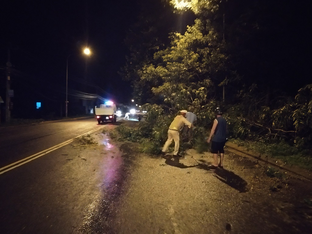 Công an huyện Cư M’gar dọn cây đổ sau mưa lớn trong đêm