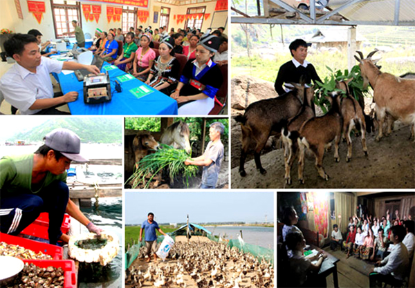 Sơ kết thực hiện Nghị quyết Hội nghị Trung ương 5, khoá XI một số vấn đề về chính sách xã hội giai đoạn 2012 -2020