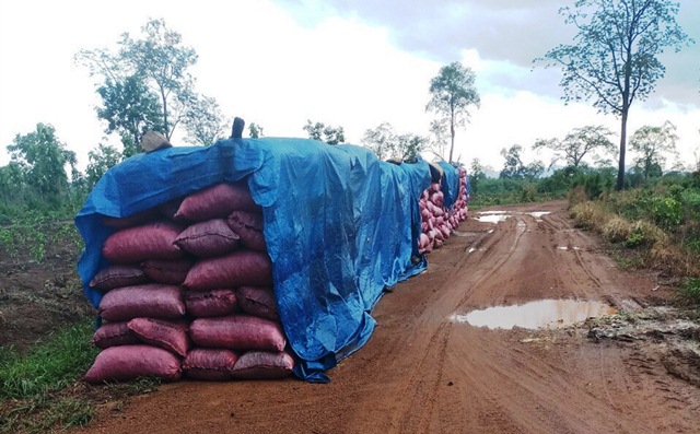 Phát hiện và thu giữ hơn 1.100 bao than củi không có giấy tờ hợp pháp