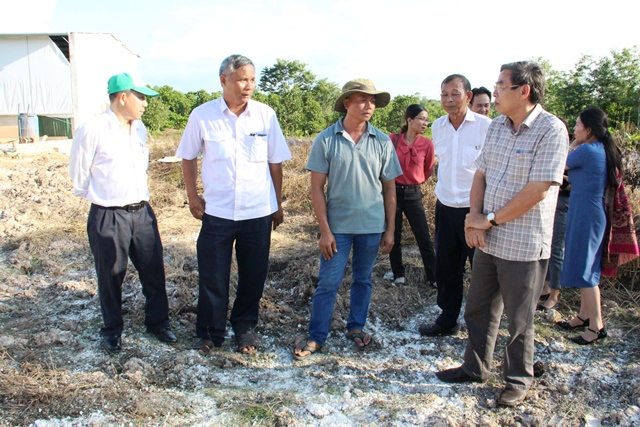 Kiểm tra công tác phòng, chống Dịch tả lợn Châu Phi tại huyện Buôn Đôn