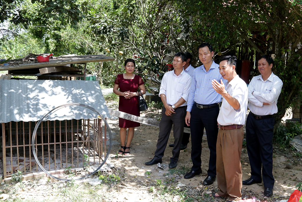 Kiểm tra công tác phòng, chống Dịch tả lợn Châu Phi trên địa bàn tỉnh