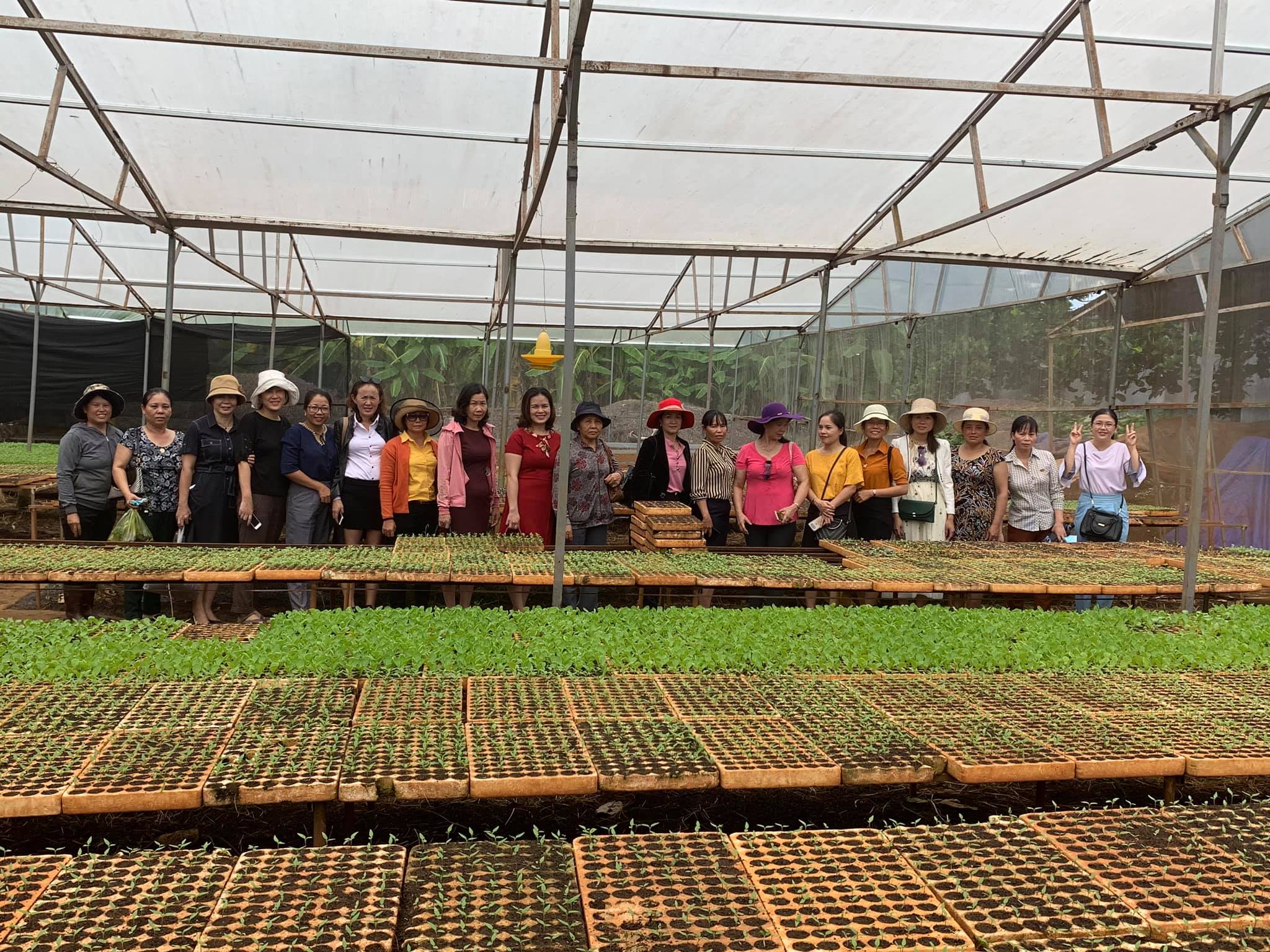 Tập huấn nâng cao năng lực thành viên, ban lãnh đạo Hợp tác xã và Tổ hợp tác