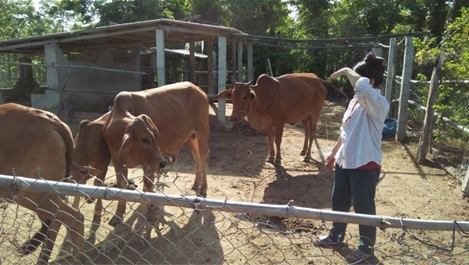 Hiệu quả từ Dự án “Giúp đỡ nạn nhân CĐDC các tỉnh khu vực Tây Nguyên và Tây Ninh” tại huyện M'Đrắk