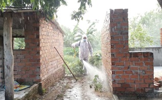 Huyện M'Drắk phát hiện thêm ổ dịch tả lợn Châu Phi