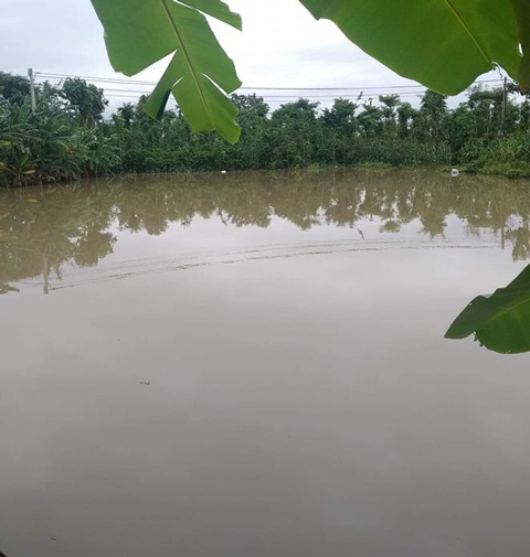 Huyện Cư M’gar: Cháu bé xuống hồ nhặt dép bị đuối nước