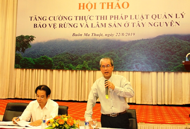 Hội thảo tăng cường thực thi pháp luật quản lý bảo vệ rừng và lâm sản ở Tây Nguyên