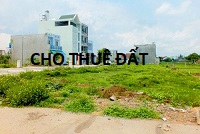Cho Công ty TNHH MTV dầu khí Thanh Tin thuê đất tại Cụm Công nghiệp Krông Búk