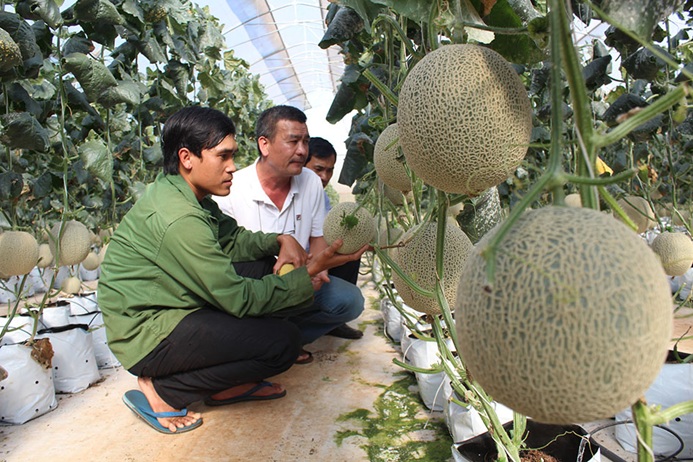 Tuổi trẻ huyện Ea H'leo làm theo lời Bác