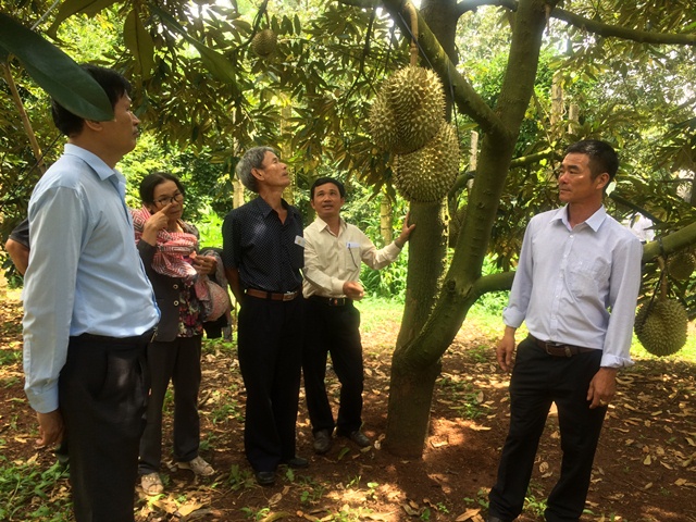 Hội thảo “Quản lý nấm bệnh, nâng cao chất lượng sầu riêng”