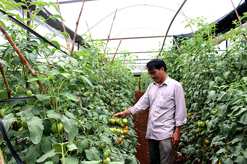 Báo cáo đánh giá về chính sách miễn, giảm thuế sử dụng đất nông nghiệp