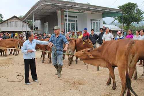 UBND tỉnh ban hành Kế hoạch thực hiện Chương trình hành động quốc gia 