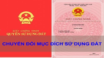 Cho phép Công ty TNHH Xăng dầu Hòa Hợp chuyển mục đích sử dụng đất