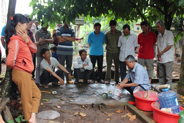 Nông dân huyện Buôn Đôn tìm ra “thuốc thảo dược” diệt ruồi vàng