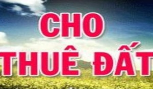 Cho phép Công ty TNHH MTV Thuận Phúc thuê đất