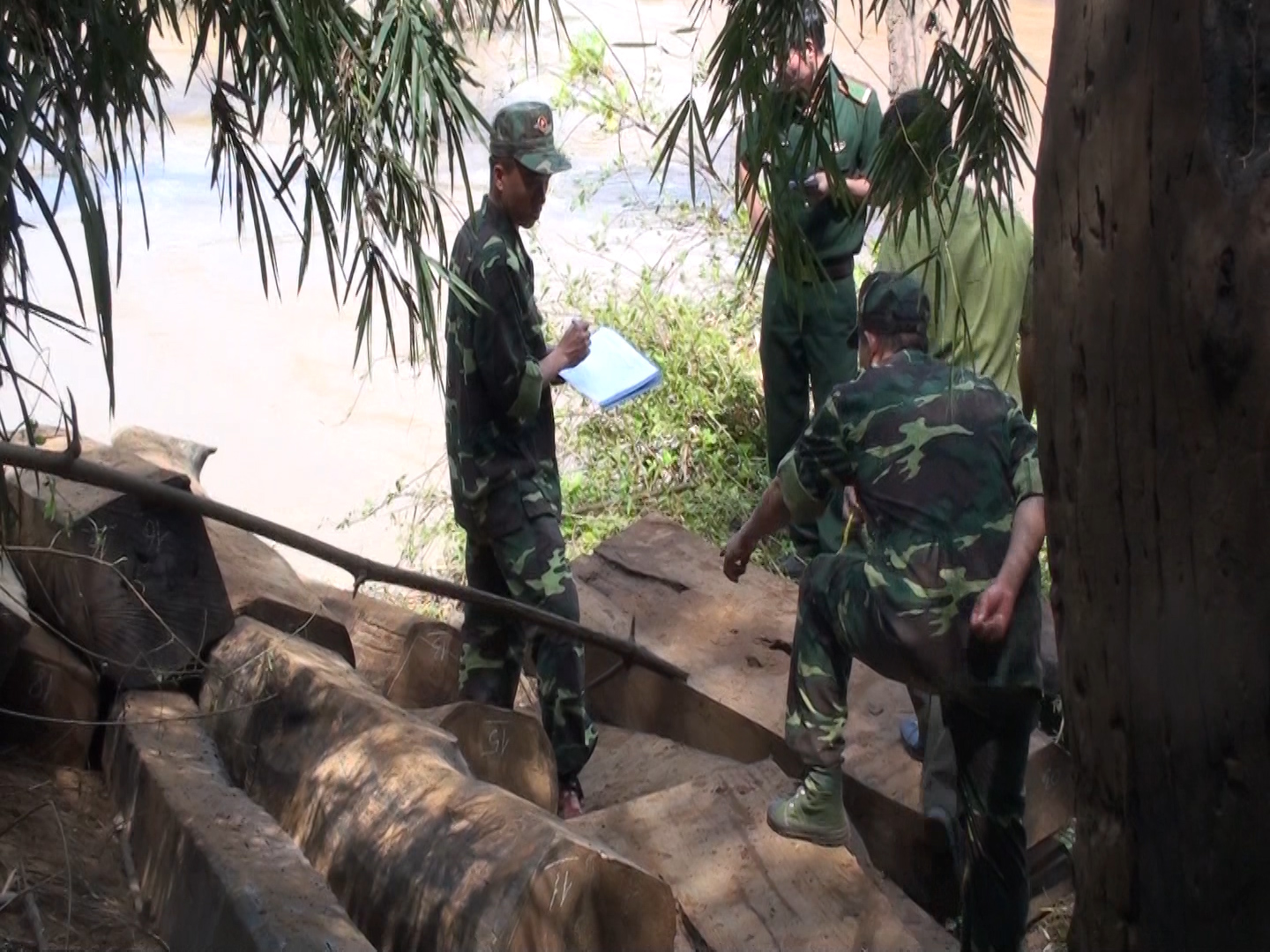 Bộ đội Biên phòng Đắk Lắk phát hiện và thu giữ hơn 5 khối gỗ vô chủ