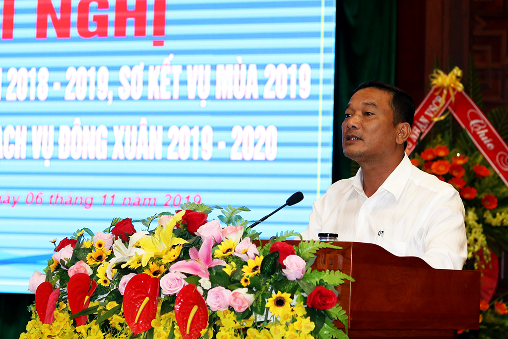 UBND tỉnh triển khai kế hoạch vụ Đông Xuân 2019 – 2020