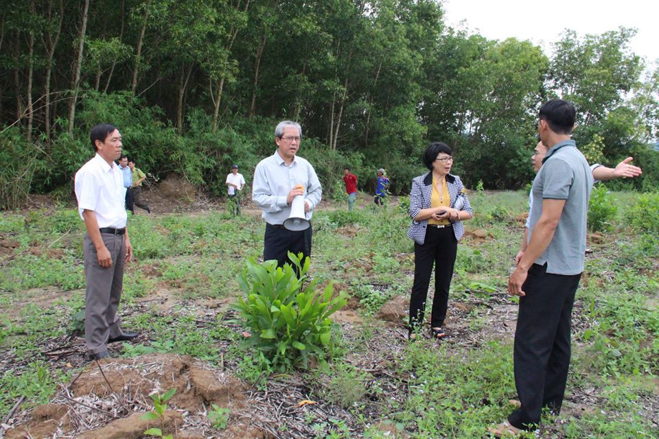 Đắk Lắk số vụ vi phạm lâm luật giảm 30,6%