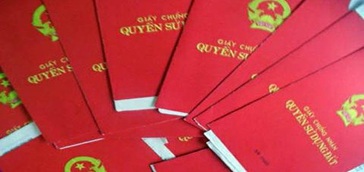 Cho Công ty cổ phần cà phê Ea Pốk thuê đất tại xã Cư Suê