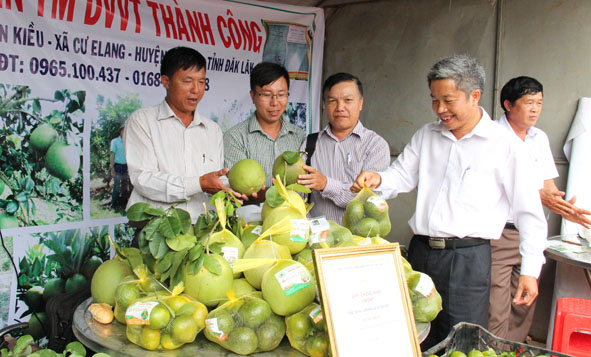 Tổ chức Hội chợ nông nghiệp và sản phẩm OCOP khu vực Tây Nguyên tại tỉnh Đắk Lắk năm 2019