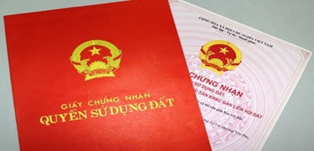 Giao 1.281,8 m2 đất tại phường An Lạc, thị xã Buôn Hồ cho Cục Thống kê tỉnh