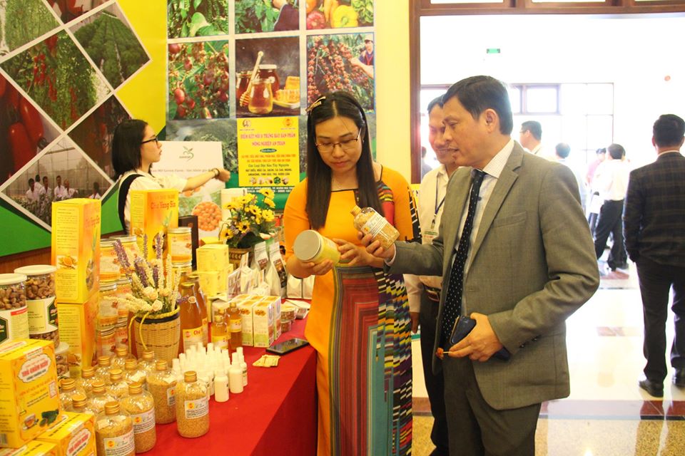 Lộ trình Chương trình OCOP Đắk Lắk: Mật ong, cá lăng đuôi đỏ Sêrêpốk ưu tiên đầu tư