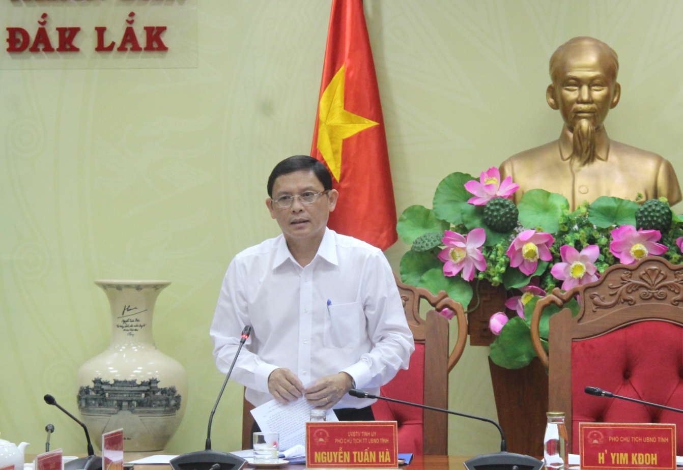 UBND tỉnh họp Phiên thường kỳ tháng 11/2019