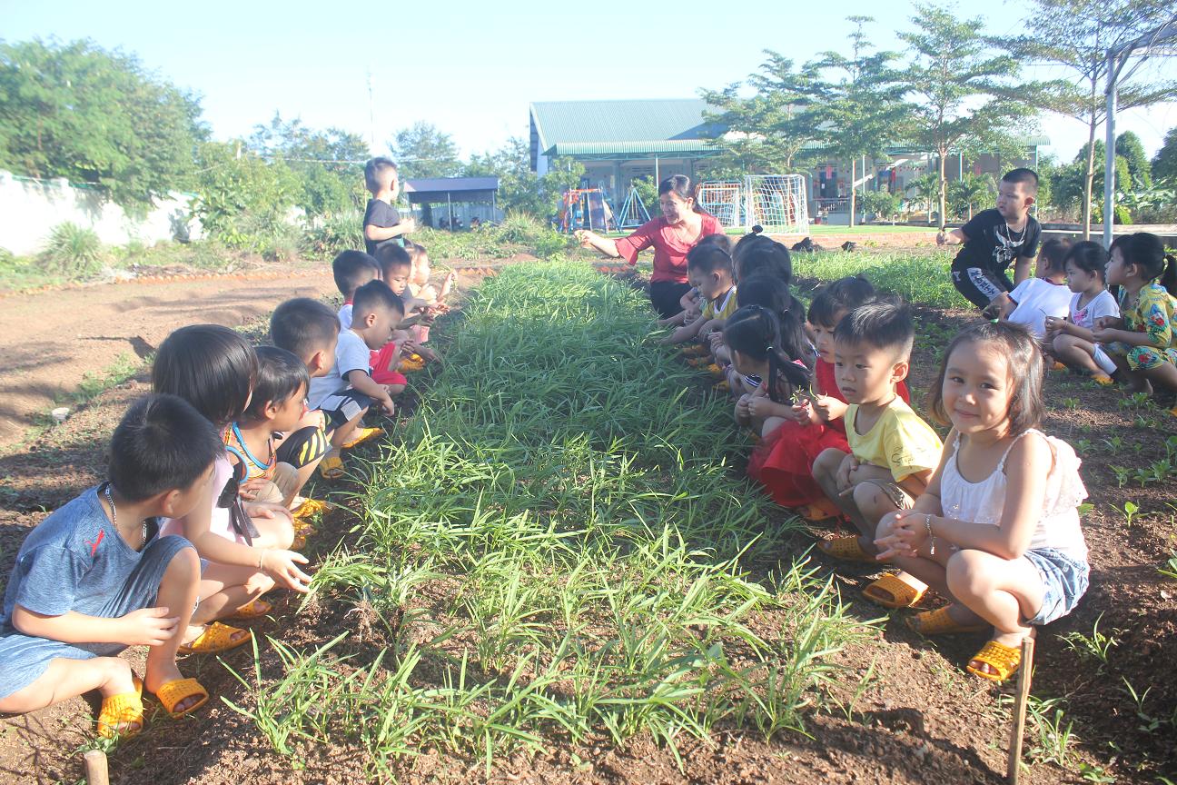 Trường Mầm non Hoa Sen: Lá cờ đầu trong chăm sóc, giáo dục trẻ ở huyện Buôn Đôn