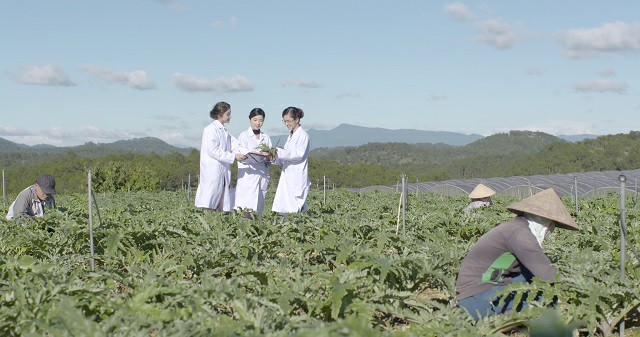 Quyết định phê duyệt quy hoạch tổng thể mặt bằng tỷ lệ 1/500 dự án khu điều hành thuộc nhà máy sơ chế và trang trại trồng cây dược liệu