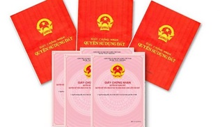 Cho phép Công ty cổ phần Dược – Vật tư y tế Đắk Lắk gia hạn sử dụng đất