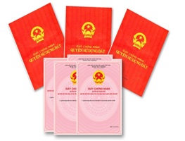 Giao đất để thực hiện dự án Trung tâm đào tạo nghề du lịch và khách sạn