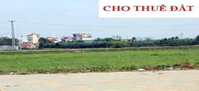 Cho phép Công ty TNHH Phát triển Chợ và Du lịch Phương Nam thuê đất