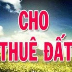Cho phép Công ty TNHH Bình Thuận Buôn Hồ chuyển mục đích sử dụng đất và thuê đất