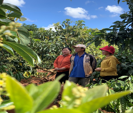 Xã Ea Hiao, Huyện Ea H’Leo: Niềm vui về đích nông thôn mới