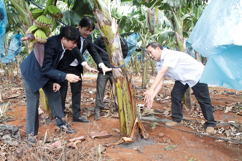 Tiếp tục đẩy mạnh cải cách hành chính trong lĩnh vực nông nghiệp nông thôn