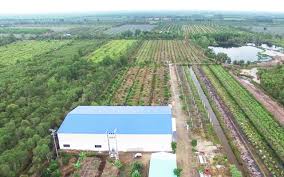 Quy định tiêu chí kinh tế trang trại