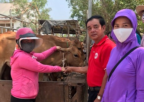 Bàn giao bò cho hộ nghèo xã biên giới từ nguồn nhắn tin 1409