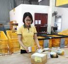 Chỉ thị số 28/CT-BTTTT về việc tăng cường công tác bảo đảm an toàn, an ninh bưu chính phục vụ Đại hội Đảng bộ các cấp