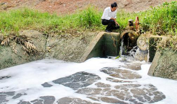 Triển khai Nghị định số 53/2020/NĐ-CP ngày 05/5/2020 của Chính phủ.