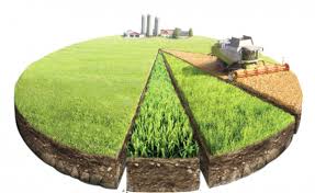 Nghị quyết 67/NQ-CP phê duyệt Nhiệm vụ lập Quy hoạch sử dụng đất quốc gia thời kỳ 2021 - 2030, tầm nhìn đến năm 2050.