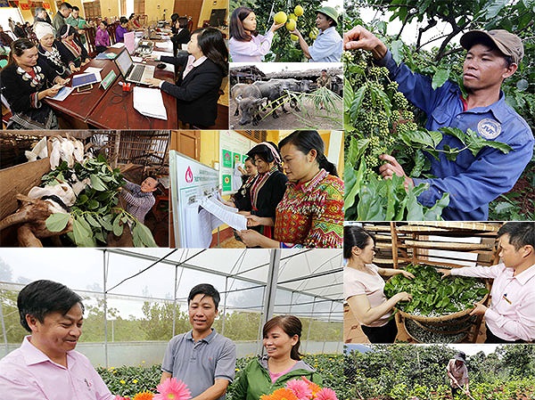 Kế hoạch thực hiện Chương trình mục tiêu quốc gia Giảm nghèo về thông tin năm 2020.