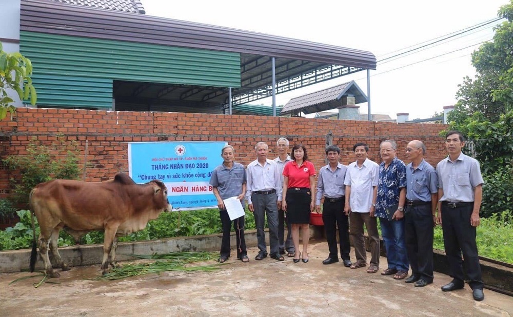 Trao bò giống cho nạn nhân chất độc da cam/dioxin khó khăn