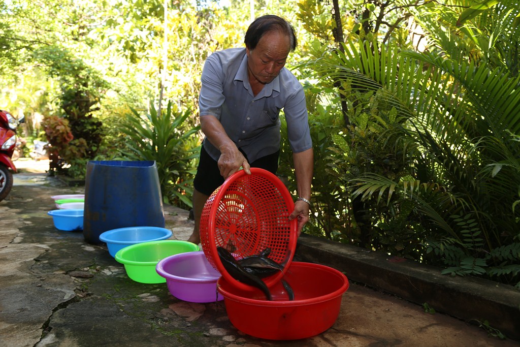 Phóng sinh gần 1.000 con cá trê giống ra môi trường tự nhiên